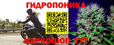 молекула духа Бузулук