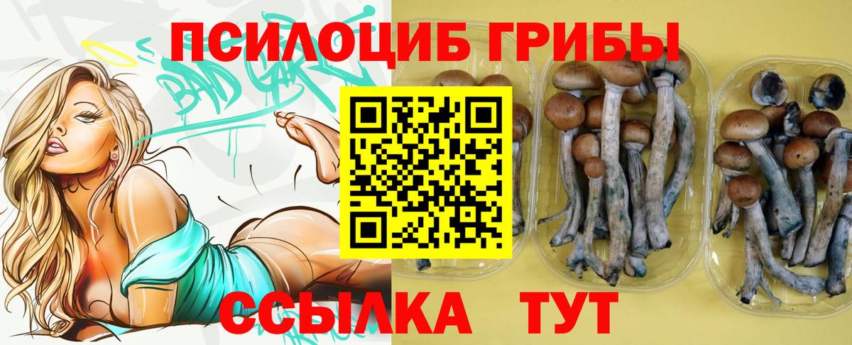 Галлюциногенные грибы Magic Shrooms  Вход с VPN  Коммунар 